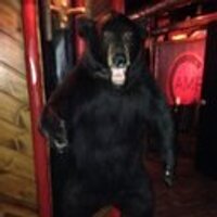 Chris Albright (@albright12) 's Twitter Profile