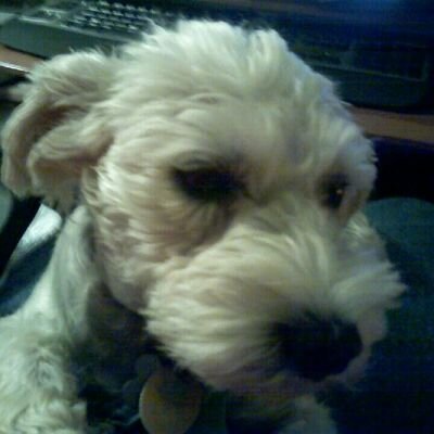 DugginsRvnmama's profile picture. Retired aircraft sheet metal mechanic. RVer, dog lover.