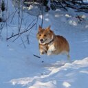 PTB - @PeterBest138 - Twitter