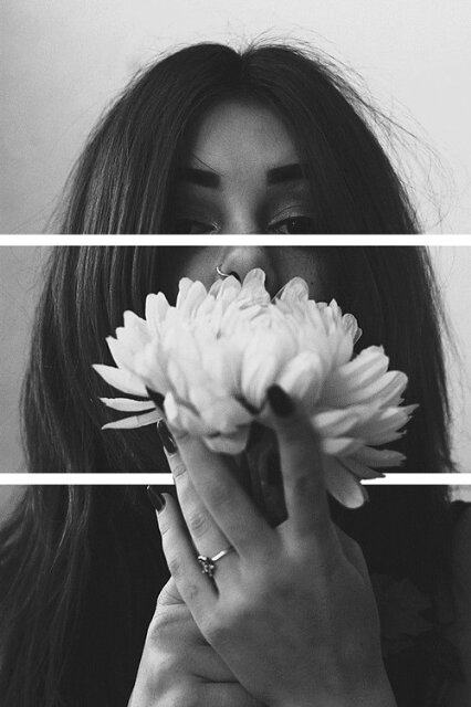 DaisiesF_'s profile picture. Flores, flores, flores, flores, flores.