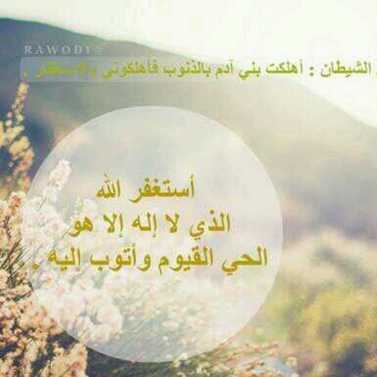 سبحان الله و الحمد لله و لا اله الا الله و الله اكبر