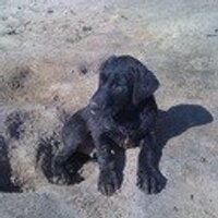 Adam Summerford (@adamsummerford) 's Twitter Profile