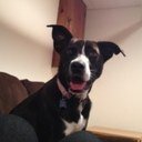 Daniel Moran - @DanielMMoran - Twitter