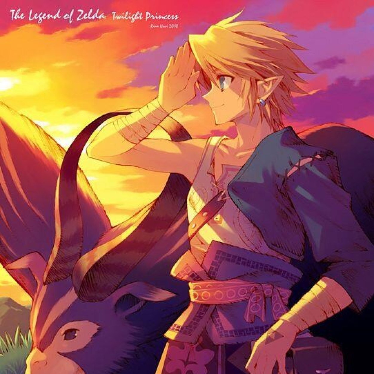 I am the savior of Hyrule. Saving Princess Zelda. #Multiverse