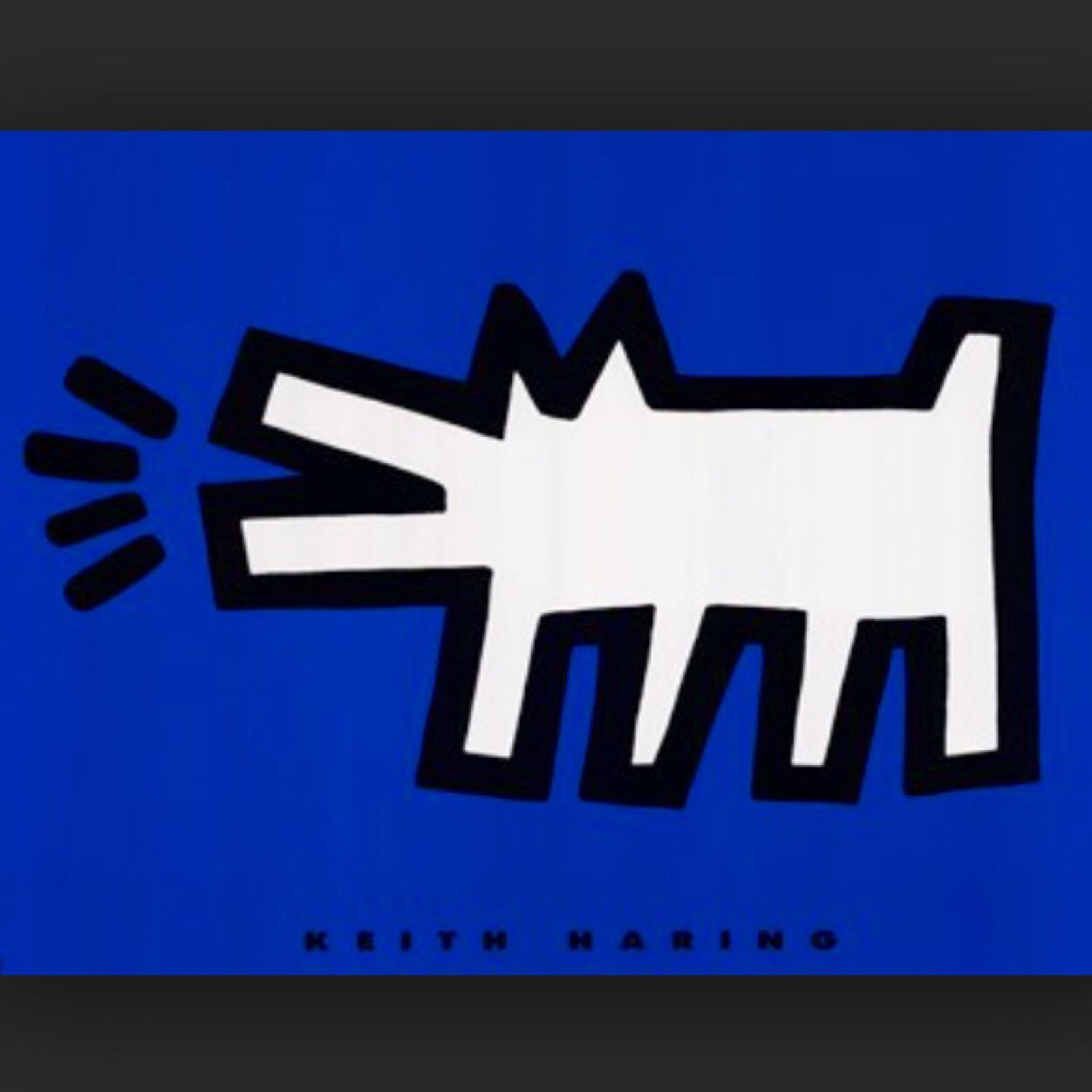 Semi-retired. Working fests for fun. Pet parent to Jeffrey Marie Vonkitler and Gertrude Ruth Bouconi. PDX-PHX