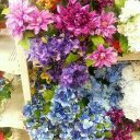 Donna Cherry - @panho33 - Twitter