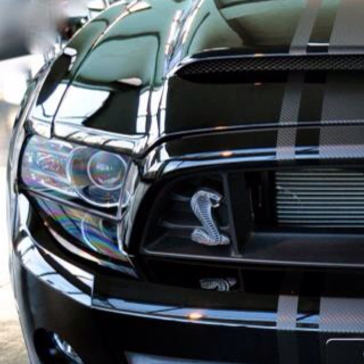 nobuhirohendrix's profile picture. 車バカ,ギター馬鹿。。