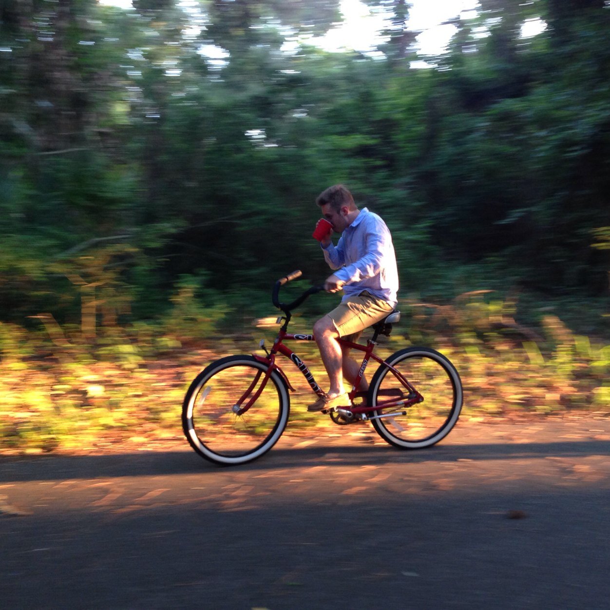 Foldsy1's profile picture. 