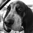 Herhusk's profile picture. Tahoe Mom of a Dingo and a Rhino. Partner at Incline Law Group,  Sugar Bowl Academy Board of Trustees.