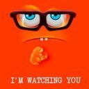 AKhan226's profile picture. Man U forever