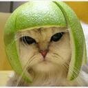 Just plain grumpy