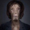 No confío en los perros.