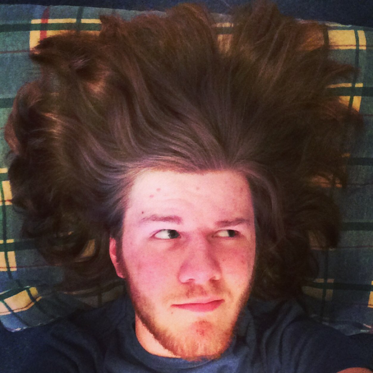 he/him | this is a social experiment, nothing I say on this account can be used against me in a court of law