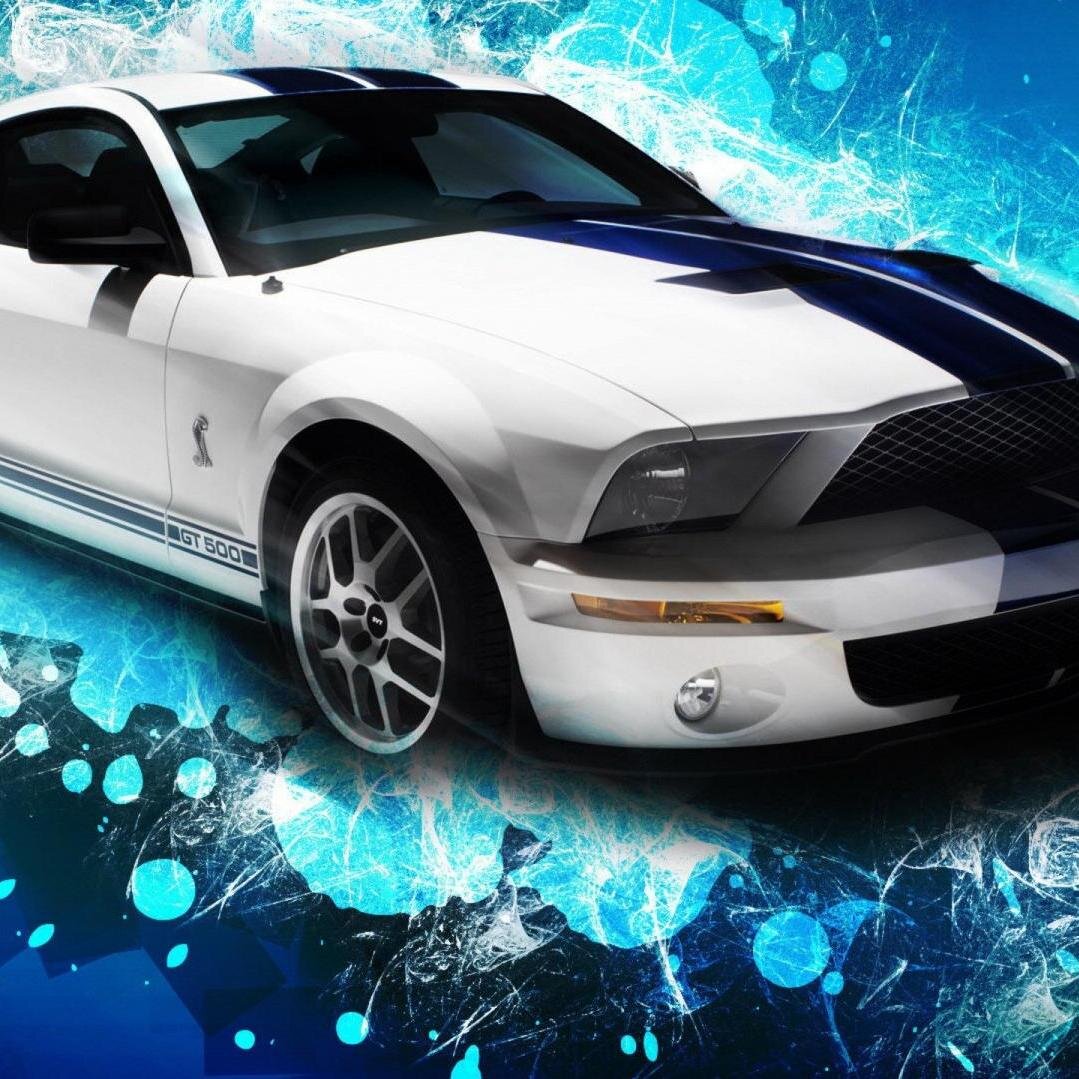 I love gaming,mustangs,gambling,and twitch