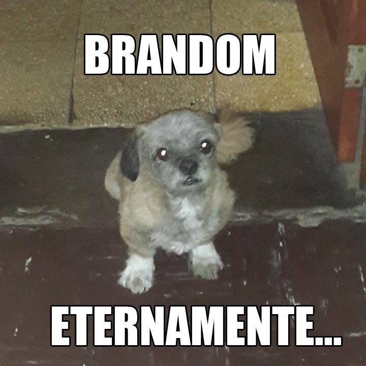 puedo amarte u odiarte, me caeras bien o mal, puedo apreciarte o envidiarte, seras mi amigo o enemigo, pero si algun día me necesitas, yo estaré ahí para tí...