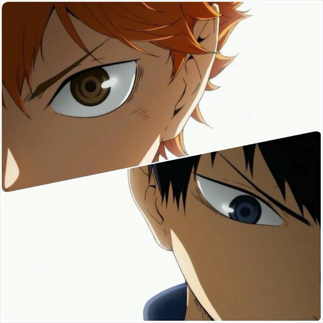はいきゅーさんのプロフィール画像
