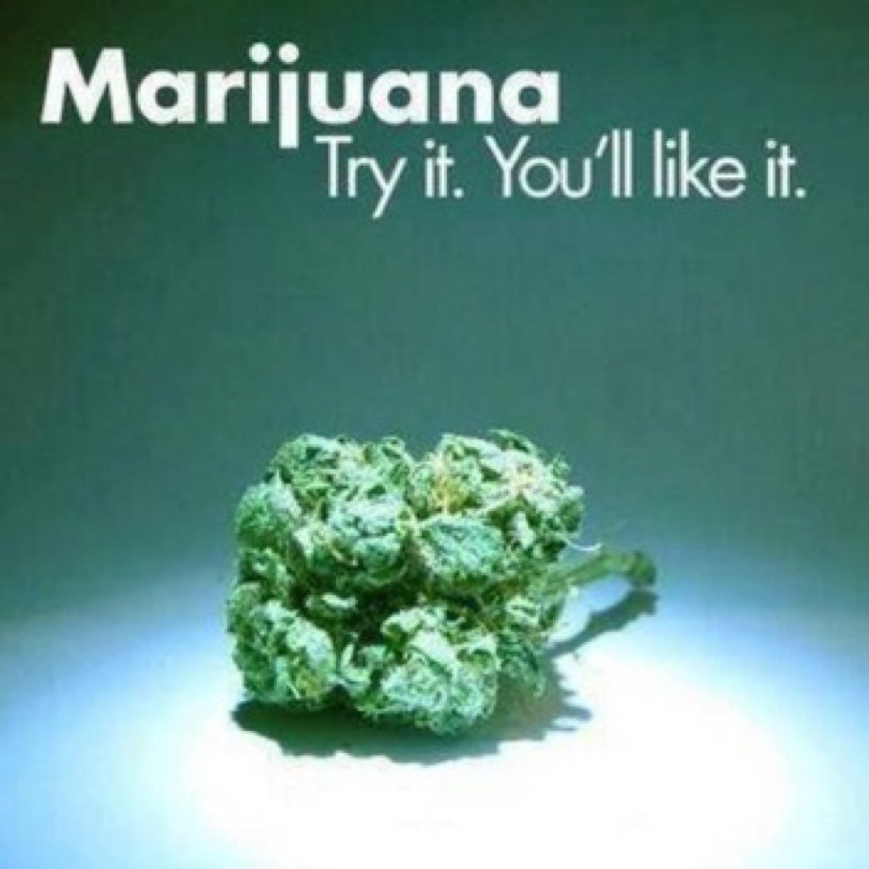 Page for all the highschool stoners