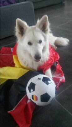 m_singule's profile picture. 