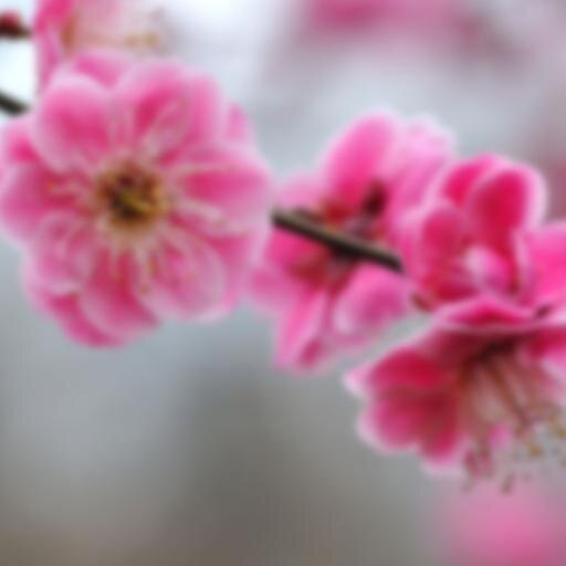 rebeca_secret's profile picture. Rebeca´s Secret. La agencia relax con las mejores teen scorts de toda la ciudad. http://t.co/FSViBASWZi