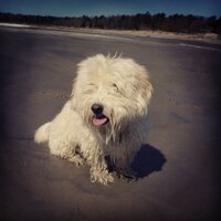 elyssaraekirsh (@elyssakirsh) 's Twitter Profile