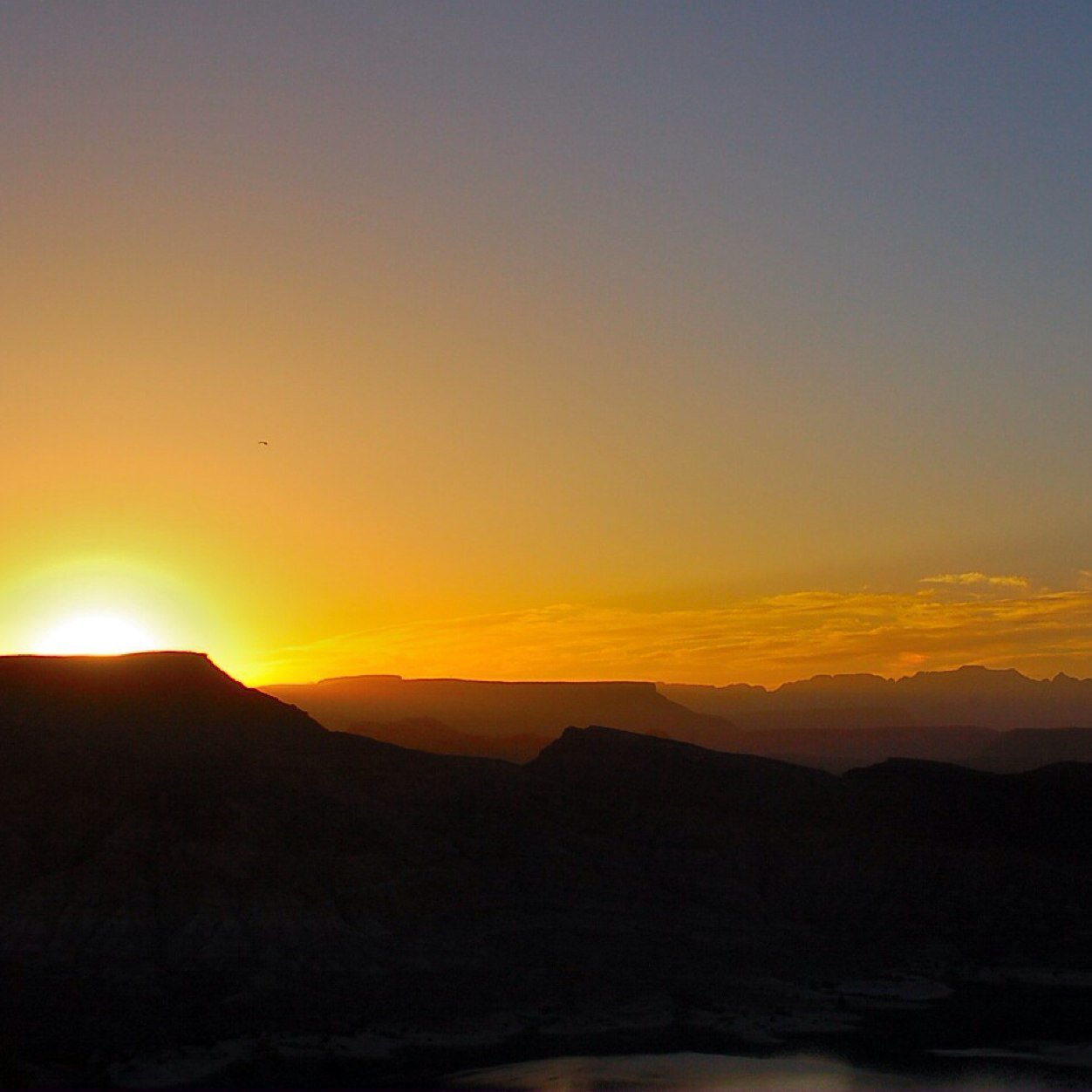 photosentral's profile picture. Hey guys! Tag us in your cool pics and get a chance to be featured! @photosentral