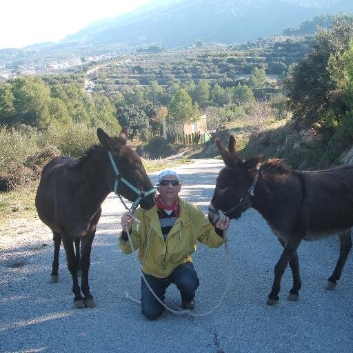 jeffguinet's profile picture. Nacido en Paris y desde 30 años desarollando actividades turisticas, hipica,casa rural.