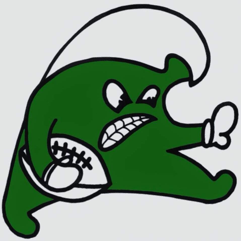 FallonFootball Profile Picture