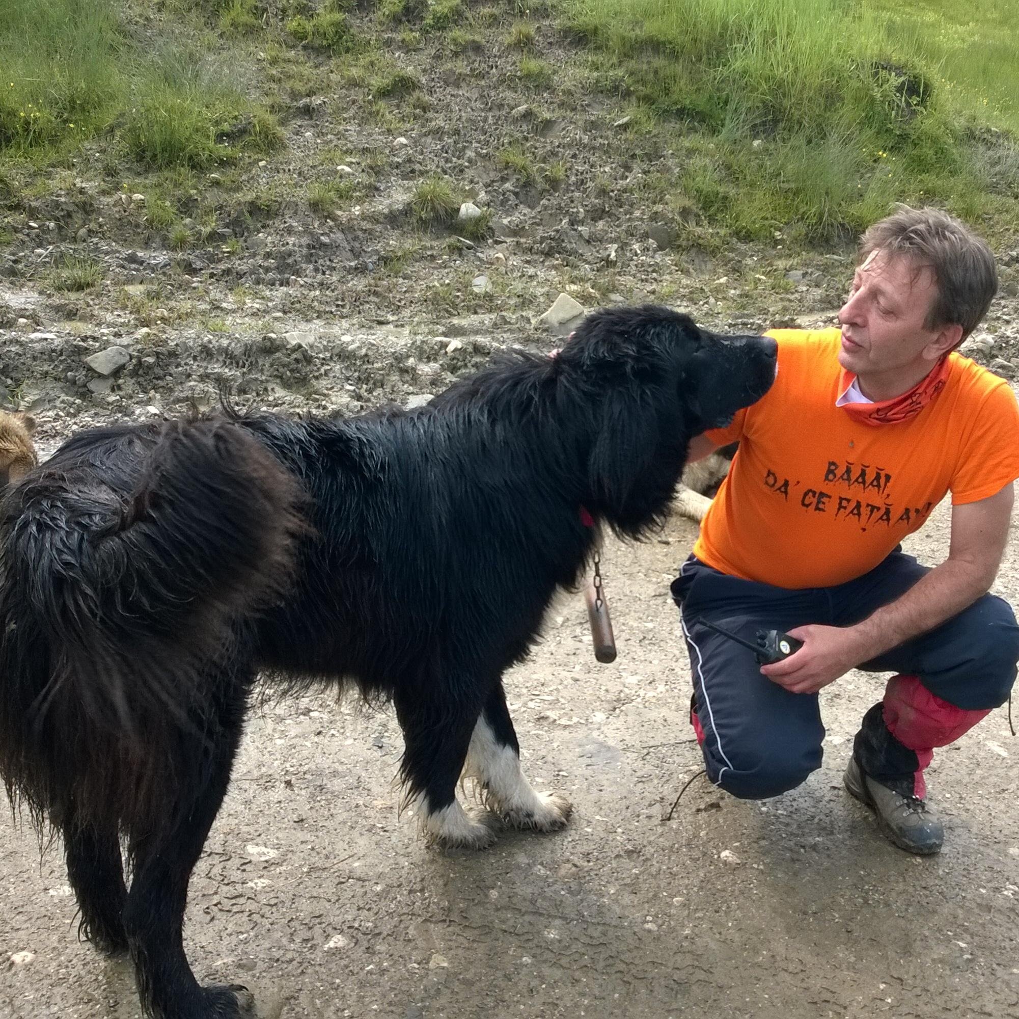 florinfratu63's profile picture. 