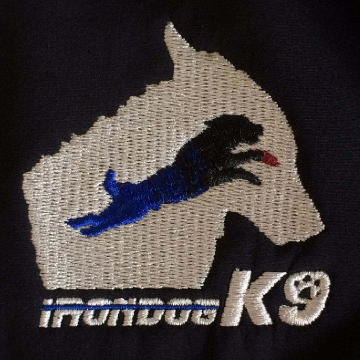 K9 Guardians Movie / IrondogK9 Training / Retired Police Officer
