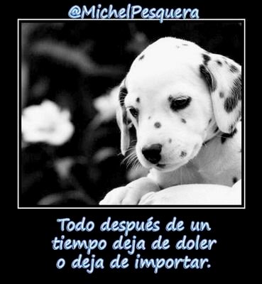 Me gusta ir al cine,