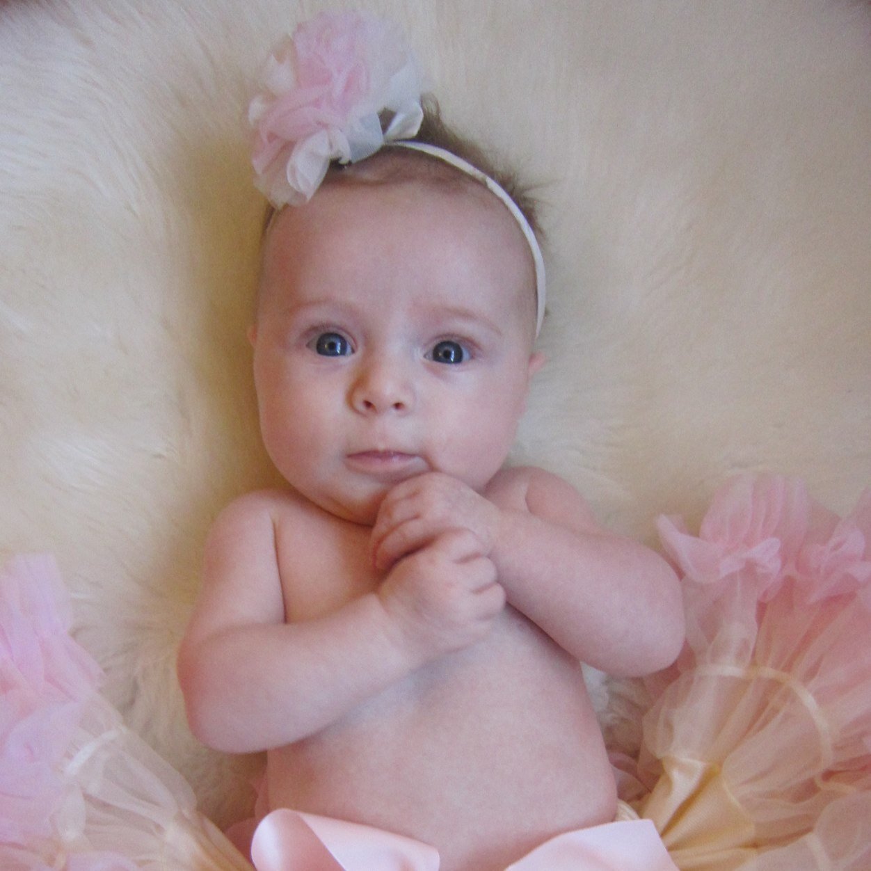 SuzyMidds's profile picture. 