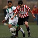 Hollandia O16