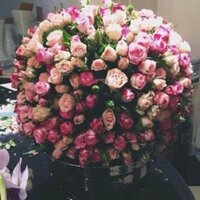 ₣τªмў (@ftamy_a) 's Twitter Profile