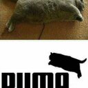 Justin Lowrey - @spdrmn85 - Twitter