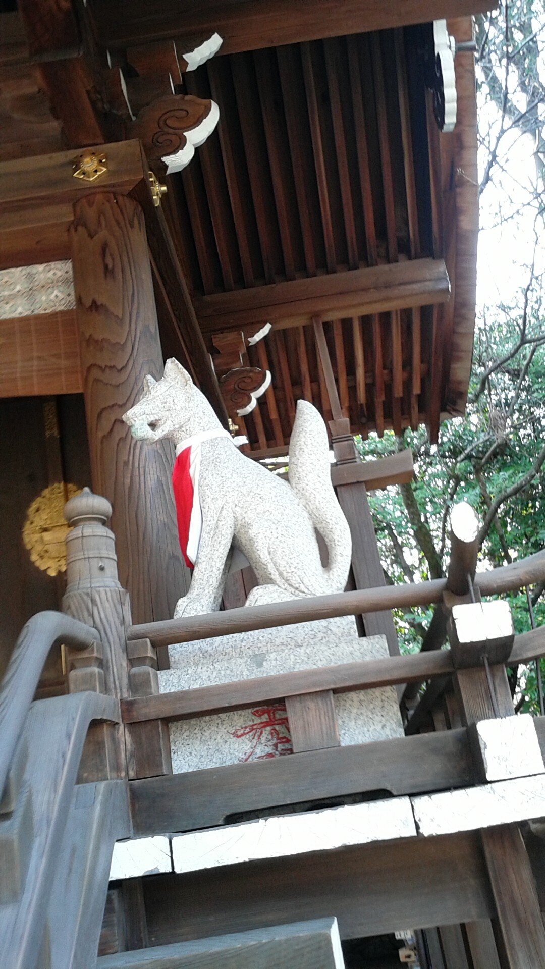 raguragu11's profile picture. 日進月歩