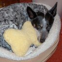 Scott McAfee - @Scotty2307 - Twitter