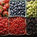 lore_nutrition's profile picture. let it be