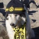 Presidente @BVB09MEX @acadeborussia. Director Operativo @asadodelvalle. Socio @el9ymedio
