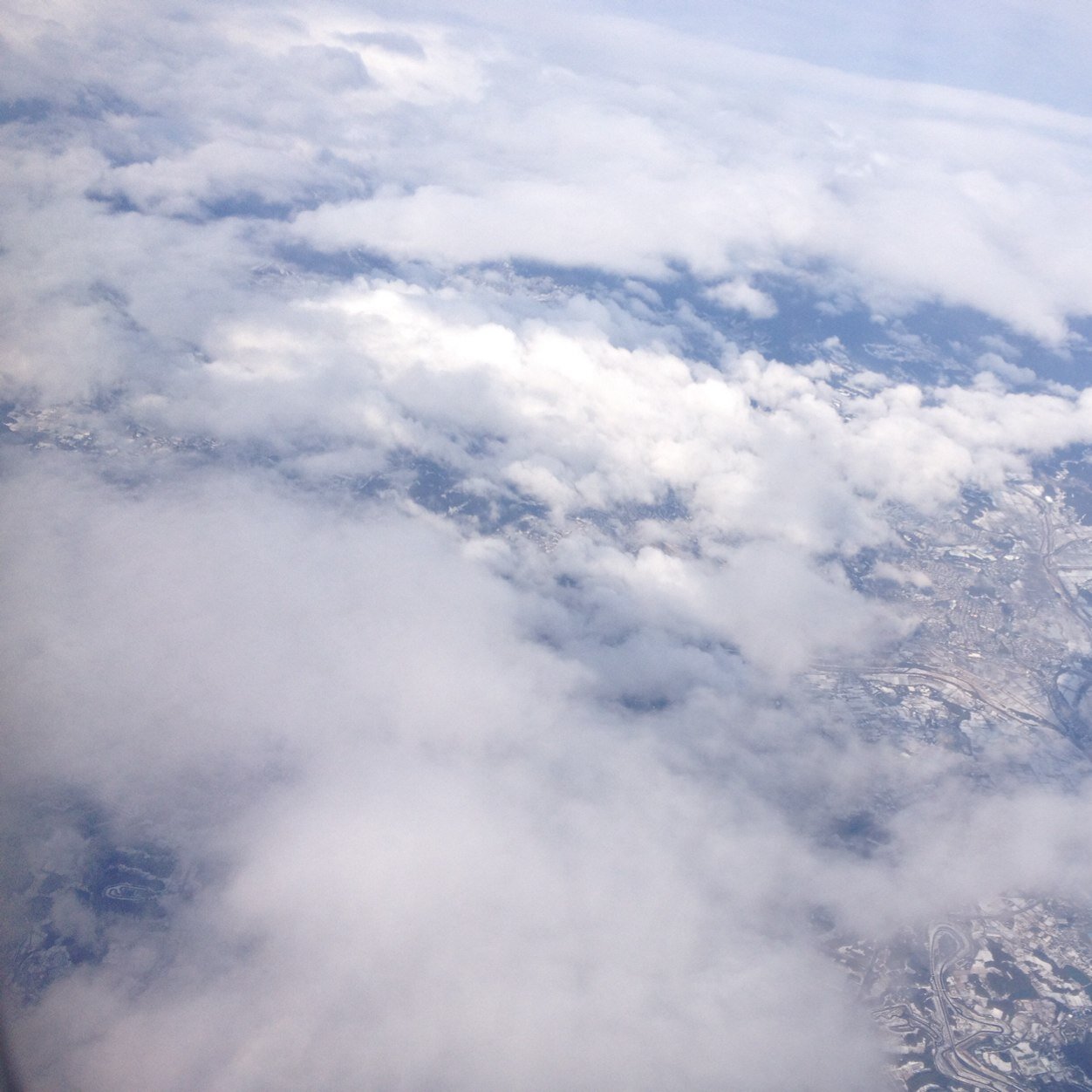 LED_duala's profile picture. 