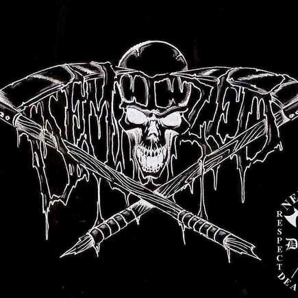 DEMIZED is a death metal band based in Bronx, New York City that transcends many boundaries within metal.