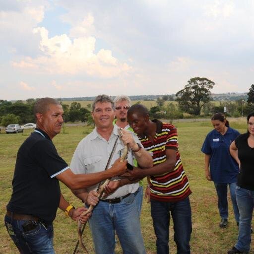 AfricanRnV's profile picture. Expert Snake Handler, Snake Venom Producer, FGASA Accredited Course Instructor and Reptile Enthusiast