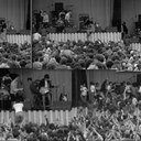 JamieMChapman's profile picture. 