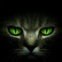 mikeb1957's profile picture. 