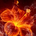 Herbert Baum - @HerbertBaum1 - Twitter