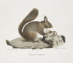 amy_6161's profile picture. Just me . . .