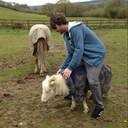 Beard_Splitter's profile picture. 