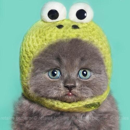 yulyana_rus's profile picture. 