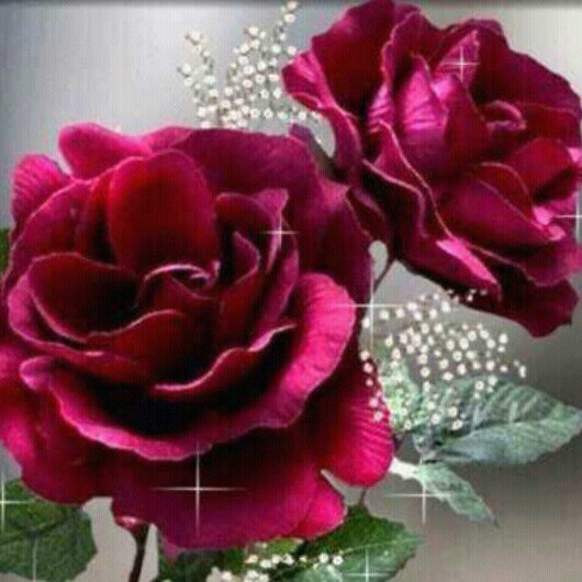 LYglgcyasmin's profile picture. 