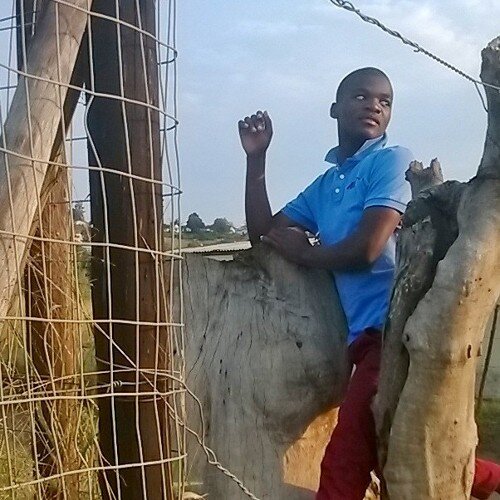 sfiso73626261's profile picture. 