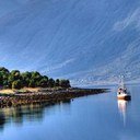 raedrrr's profile picture. علاقتي مع الناس كأوراق الشجر ...من يثمر يبقى ومن يسقط لا يعود